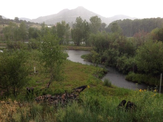 Escape the Summer Heat