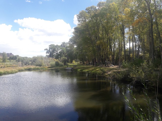 Trout Pond